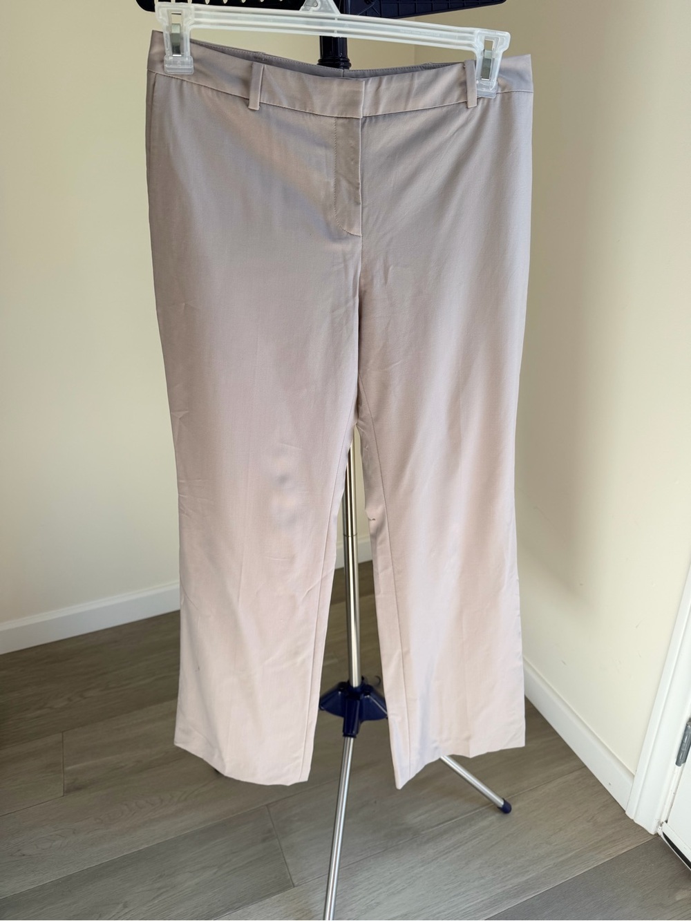 Ann Taylor Petite Neutral Taupe Waistband Wool Dress Pants 10P
